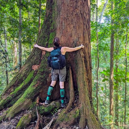 Thejungleguide - Lodges & Treks Bukit Lawang Exterior photo