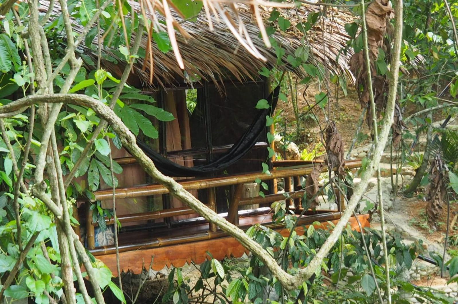 Thejungleguide - Lodges & Treks Bukit Lawang Exterior photo