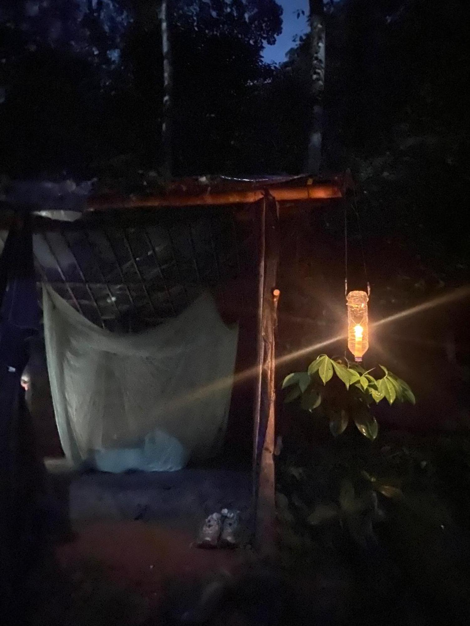 Thejungleguide - Lodges & Treks Bukit Lawang Exterior photo