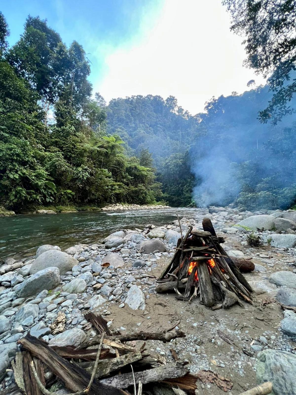 Thejungleguide - Lodges & Treks Bukit Lawang Exterior photo