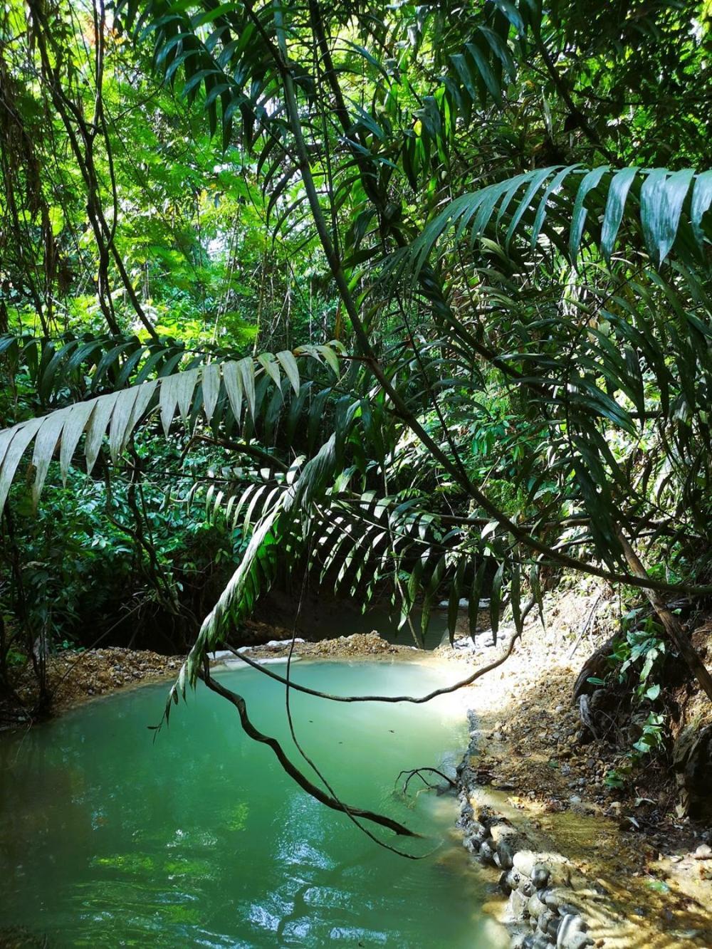 Thejungleguide - Lodges & Treks Bukit Lawang Exterior photo