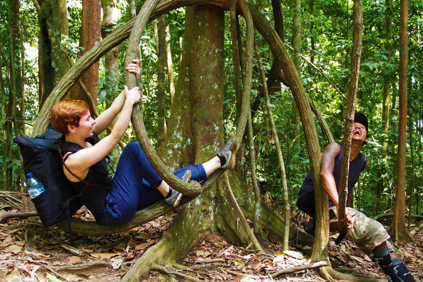 Thejungleguide - Lodges & Treks Bukit Lawang Exterior photo