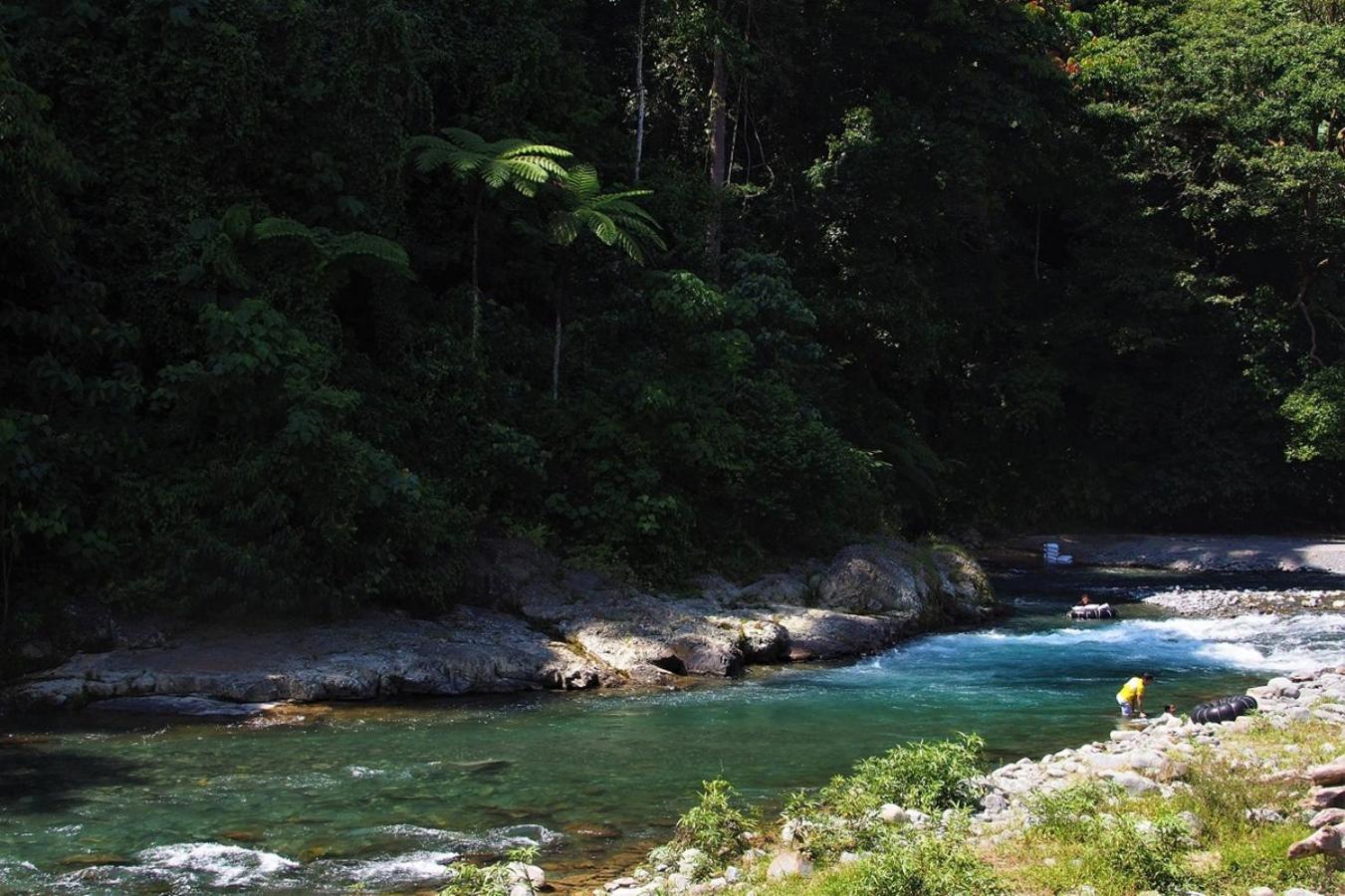 Thejungleguide - Lodges & Treks Bukit Lawang Exterior photo
