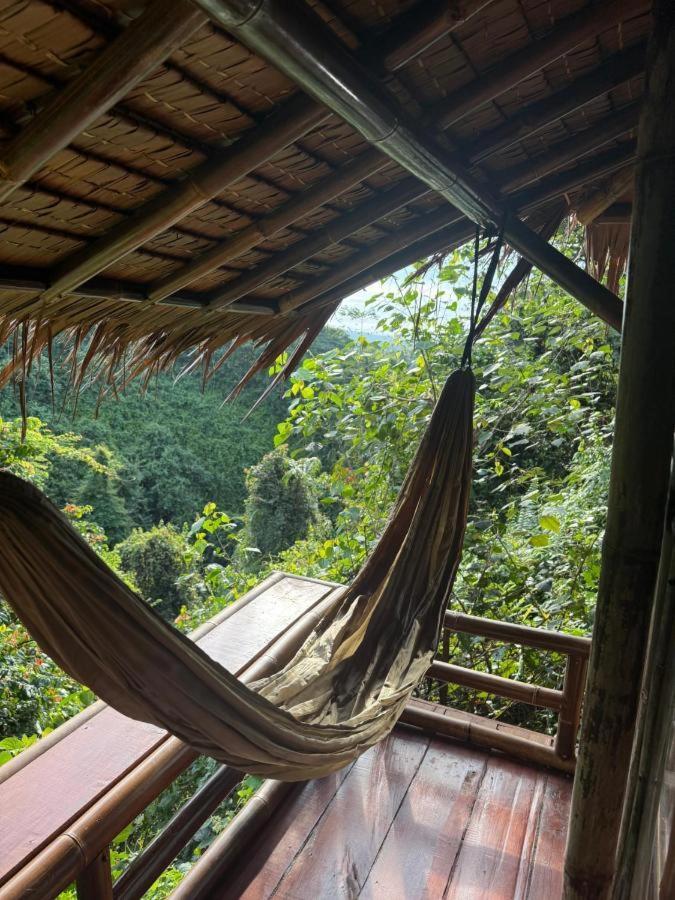 Thejungleguide - Lodges & Treks Bukit Lawang Exterior photo
