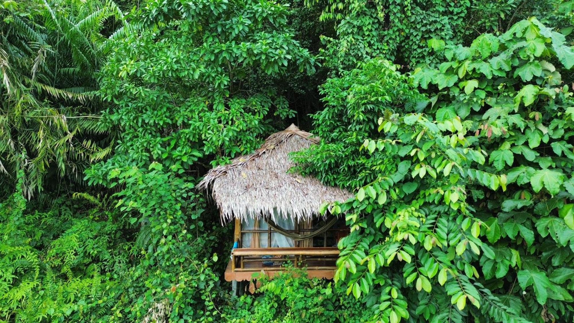 Thejungleguide - Lodges & Treks Bukit Lawang Exterior photo