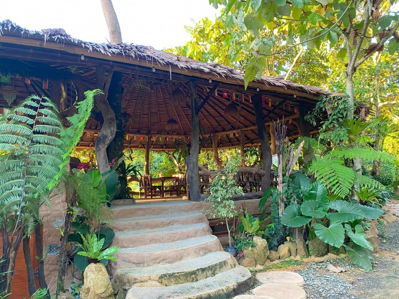 Thejungleguide - Lodges & Treks Bukit Lawang Exterior photo